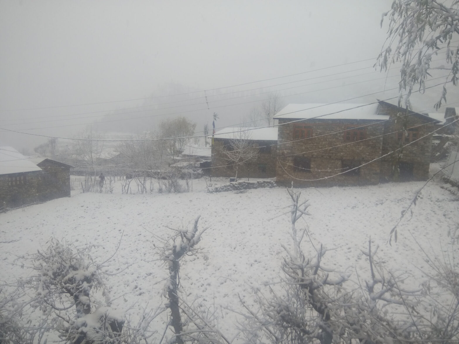 humla snow